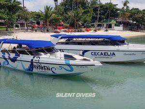 Private Speedboat Tour from Koh Samui to Koh Tao, Sail Rock, Ang Thong National Marine Park