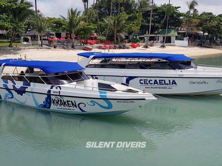 Private Speedboat Tour from Koh Samui to Koh Tao, Sail Rock, Ang Thong National Marine Park